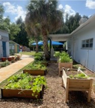 Photograph of the community garden at the Wabasso site.