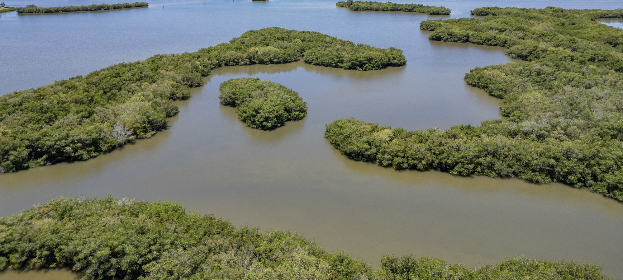 Picture of Thousand Islands Conservation Area in the Indian River Lagoon